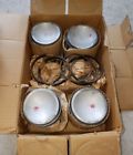 12572 Ae Nos Repco Australia Austin Healey Piston Set With Rings