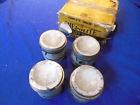 12623 Hepolite Nos Piston Set