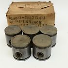 507548 General Motors Pontiac Piston Pin Set Of Five Oversize Gm