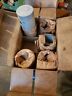 52181318 866289 Mopar Nos Dodge Plymouth Chrysler Desoto Flathead Pistons