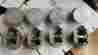 L2175cf Trw 260 Ford Pistons 1962 Thru 1964 Set Of 8 Standard Bore