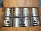 L781f Thompson Nos Ford Mercury Flathead Aluminum Dome Pistons