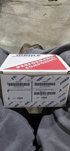 09900106 Mahle 22mm Piston Pins With Circlips