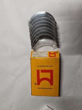 113105701 Metal Leve Volkswagen Rod Bearings