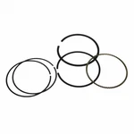 Genuine Ford Piston Rings XW4Z-6148-A. Fixed Price $71.28.