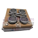Piston Kit CJ5Z6108A 2013-2016 Ford 1.6T Escape 2013-2014 Fusion. Fixed Price $119.80.