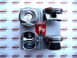 4X Piston + Rings Peugeot Citroen Mini 1.6THP 16V 5FV EP6CDT N14B16 0628S1 Std. Fixed Price $221.52.