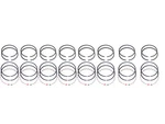 New Piston Set Hudson & 1955 Nash 320 V8 Cast. Fixed Price $127.50.