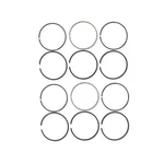 Cylinder Piston Ring Set Fits John Deere Replaces AM1625T. Fixed Price $87.99.