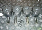 Land Rover Defender 300TDI Pistons Std X - ERR2410. Fixed Price $275.00.