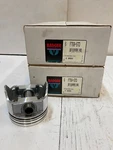 12 Badger Pistons 4" Bore Size P768-STD (2 Pack Of 6). Fixed Price $156.38.