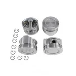 Engine Piston-sohc, Code: 22REC Dnj P900. Fixed Price $92.94.
