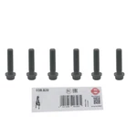 6X Connecting Rod Screw Elring For Vw 1.0-1.6 Tsi Tfsi WHT005434 038.820. Fixed Price $17.43.
