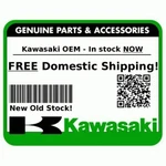 Qty Kawasaki KX100 Genuine Oem Chrome O-ring 671E2535. Fixed Price $24.99.