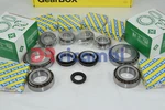 Gearbox Bearing Kit For Alfa 159 Mito Punto Bravo Opel Astra 21215-M32D25. Fixed Price $264.70.