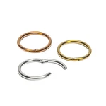 16G Cartilage Eyebrow Piercings Ring Titanium Perfect For Rook Nose Lip Jewelry. Fixed Price $16.09.