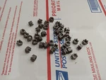 Ford Flathead Connecting Rod Nuts V8-60 60HP Midget Hydroplane. Fixed Price $35.00.