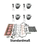 Cylinder Head Gasket Set Notch + Piston Std For Vw Seat Skoda 2.0 Tdi Azv Bsy 03G. Fixed Price $465.19.