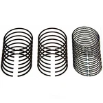 Engine Piston Ring Set Sealed Power E-287X. Fixed Price $157.39.