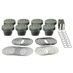 Mahle Piston Kit 197725130; Wissota Concept 4.030 In. +5CC Flat Top For 350 Sbc. Fixed Price $776.57.
