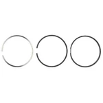 S42221 Mahle Piston Ring Sets Ram Truck Dodge 3500 2500 Ford F-800 L8501. Fixed Price $55.45.
