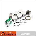 Pistons And Rings Fit 98-11 Chrysler Dodge Caravan Jeep Plymouth Vw 3.8L Ohv 12V. Fixed Price $149.28.