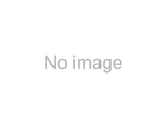 Manley Performance 251248 4130 Chrome Moly Push Rods 7/16" X 10.250" - Set Of. Fixed Price $165.95.