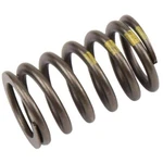 90537032 Ac Delco Valve Spring For Chevy Olds Buick Regal Chevrolet Equinox Gmc. Fixed Price $17.37.