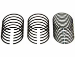 For 1969 American Motors Rambler Piston Ring Set Sealed Power 14717YF. Fixed Price $111.20.