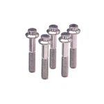 Arp 611-1500 Standard 12POINT Bolt 5PC Stainless Steel 1/4-20 X 1.5 Wrenchi. Fixed Price $21.61.