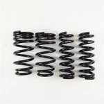 Rs-r T999D -down Sus Lowering Springs For 15+ Lexus Rc-f Made Japan. Fixed Price $299.90.