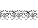 New Piston Ring Set For 1956-1961 American Motors Amc Rambler Hudson 250 Ci V8. Fixed Price $114.99.