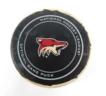 2017 Arizona Coyotes Vs. Los Angeles Kings Game Used Puck 11-24-17 AA0023124. Fixed Price $26.99.