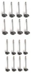 Valves SET/16 Intake+exhaust For 1968-1974 Buick 350+1969-1971 Jeep V8. Fixed Price $179.84.